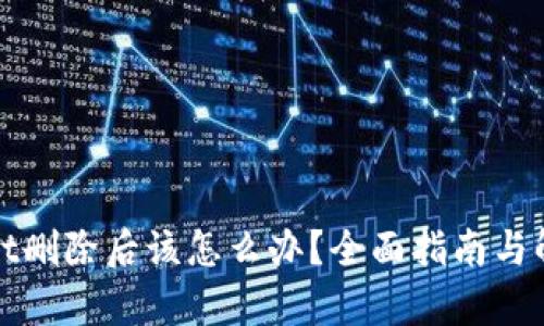 tpWallet删除后该怎么办？全面指南与解决方案