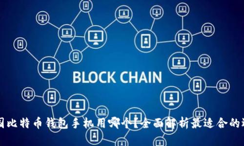中国比特币钱包手机用哪个？全面解析最适合的选项
