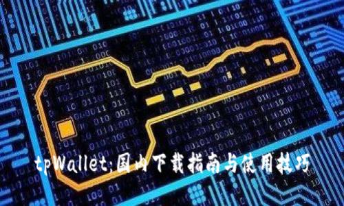 tpWallet：国内下载指南与使用技巧