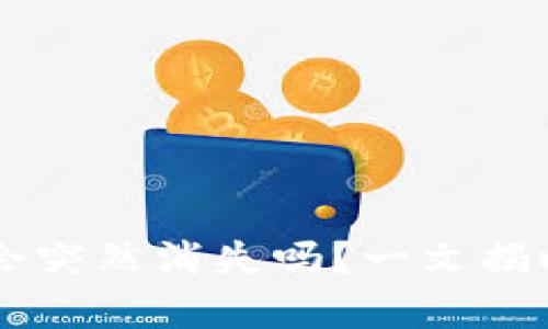 买了tpWallet的币会突然消失吗？一文揭晓安全性与风险分析