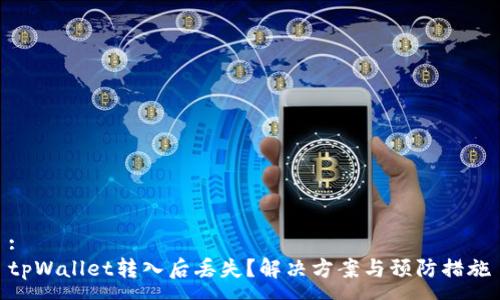 :
tpWallet转入后丢失？解决方案与预防措施