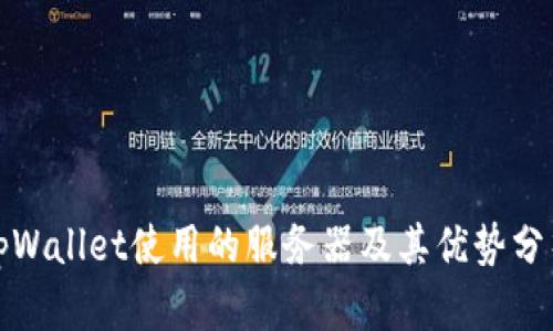 tpWallet使用的服务器及其优势分析