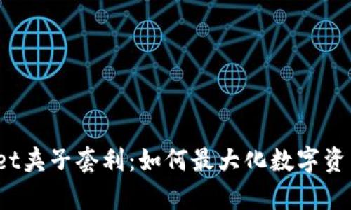 tpWallet夹子套利：如何最大化数字资产收益？