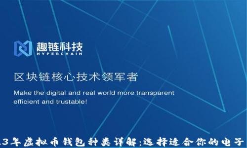 
2023年虚拟币钱包种类详解：选择适合你的电子钱包