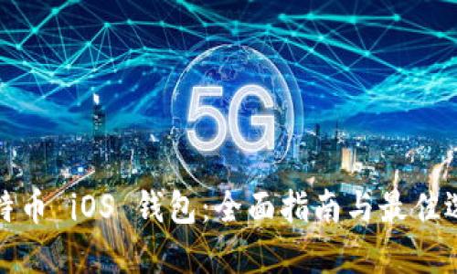 比特币 iOS 钱包：全面指南与最佳选择