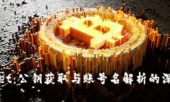 三层tpWallet：公钥获取与账