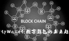 全面解析tpWallet：数字钱包