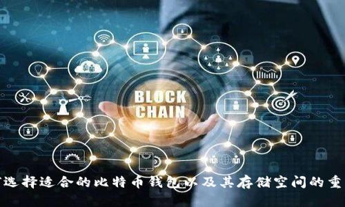 如何选择适合的比特币钱包以及其存储空间的重要性