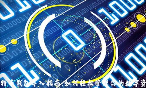 
比特币钱包导入指南：如何轻松管理你的数字资产