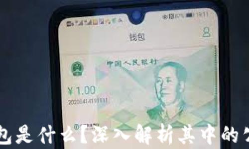 
区块链钱包是什么？深入解析其中的公司与技术