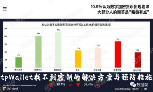 tpWallet找不到密钥的解决方案与预防措施
