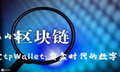 思考及相关内容中本聪绑