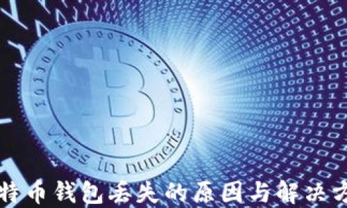 
比特币钱包丢失的原因与解决方案