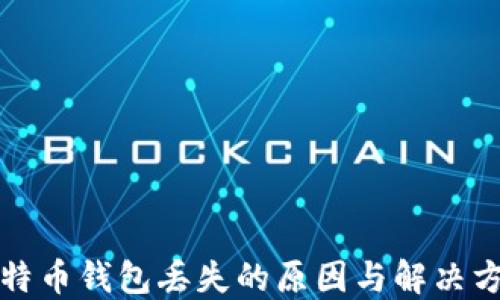 
比特币钱包丢失的原因与解决方案