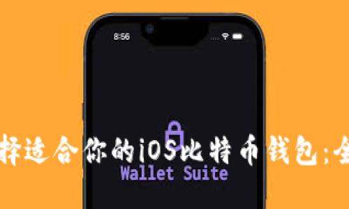 如何选择适合你的iOS比特币钱包：全面指南
