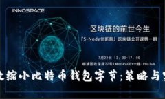 如何有效缩小比特币钱包