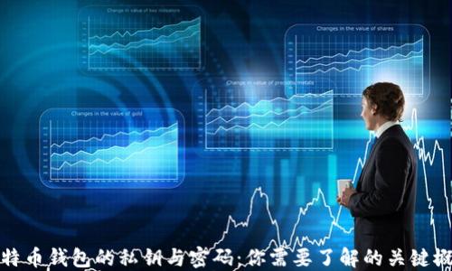
比特币钱包的私钥与密码：你需要了解的关键概念