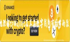   tpWallet与其他数字钱包的