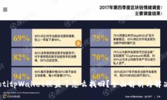 bianotitpWallet被盗了怎么找