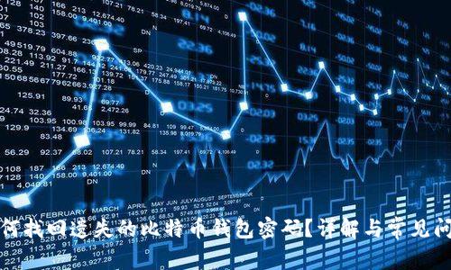 如何找回遗失的比特币钱包密码？详解与常见问题
