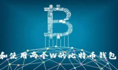 如何选择和使用两个W的比特币钱包：全面指南