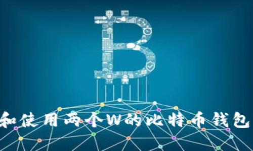 如何选择和使用两个W的比特币钱包：全面指南