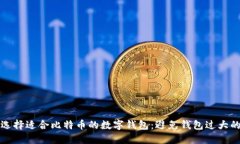 如何选择适合比特币的数字钱包：避免钱包过大