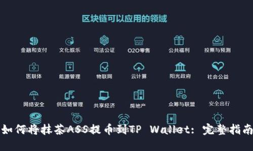 如何将抹茶ASS提币到TP Wallet: 完整指南