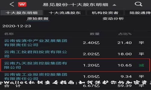 tpWallet私钥查看指南：如何保护你的加密资产