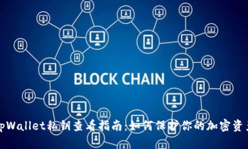 tpWallet私钥查看指南：如何保护你的加密资产