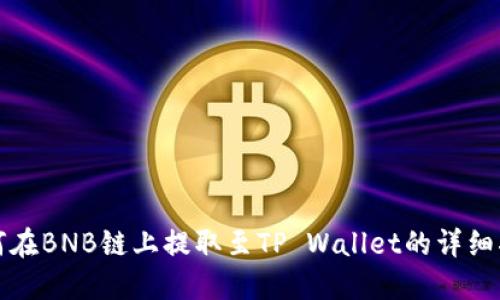 如何在BNB链上提取至TP Wallet的详细指南