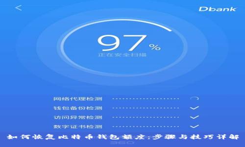 如何恢复比特币钱包额度：步骤与技巧详解