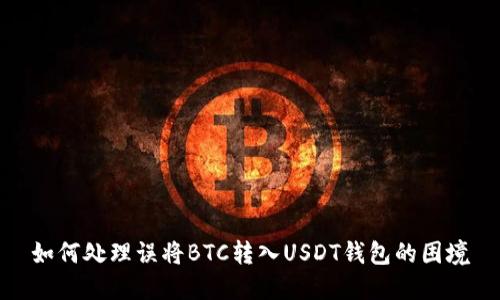 如何处理误将BTC转入USDT钱包的困境