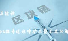 思考和关键词tpWallet提币过