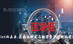 tpWallet的未来：区块链技术