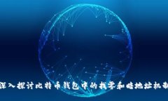 深入探讨比特币钱包中的