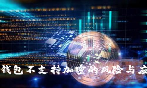 比特币钱包不支持加密的风险与应对策略