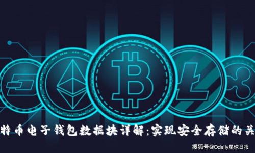 比特币电子钱包数据块详解：实现安全存储的关键