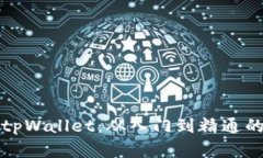 全面解析tpWallet：从入门到