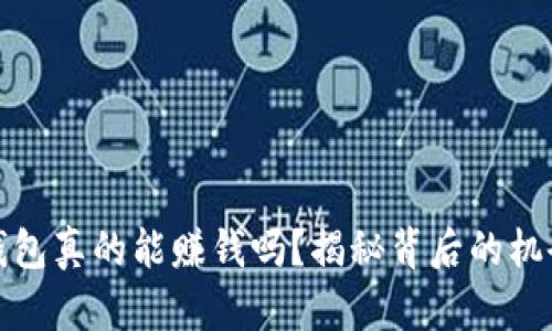 区块链钱包真的能赚钱吗？揭秘背后的机会与风险