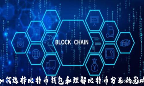 
如何选择比特币钱包和理解比特币分叉的影响