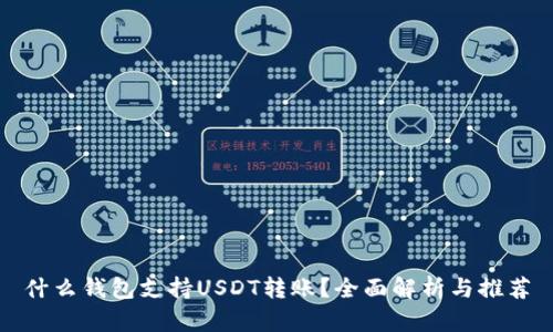 什么钱包支持USDT转账？全面解析与推荐