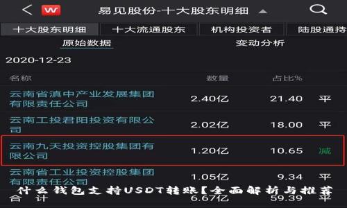 什么钱包支持USDT转账？全面解析与推荐