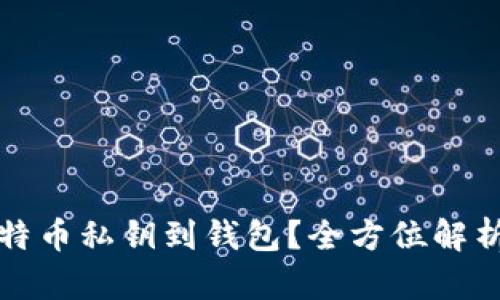如何导入比特币私钥到钱包？全方位解析与实操指南