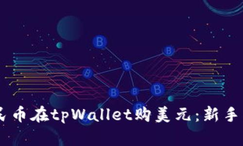 span如何用人民币在tpWallet购美元：新手指南与实用技巧