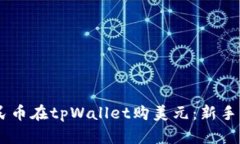 span如何用人民币在tpWallet购美元：新手指南与实