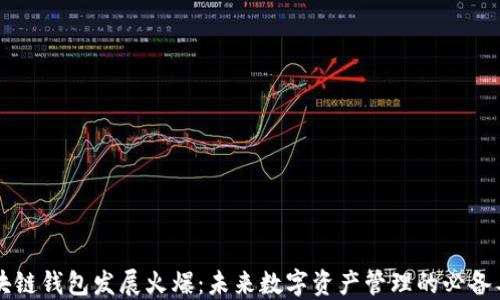 
区块链钱包发展火爆：未来数字资产管理的必备工具