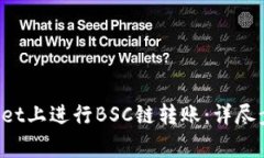 如何在TP Wallet上进行BSC链转账：详尽步骤与注意