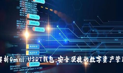 深度解析Omni USDT钱包：安全便捷的数字资产管理工具