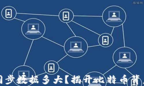 
比特币钱包同步数据多大？揭开比特币背后的数字世界